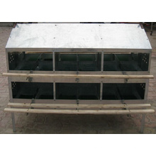 Egg Nest Box for Poultry House (criador)